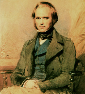 Portrait of the young Charles Darwin